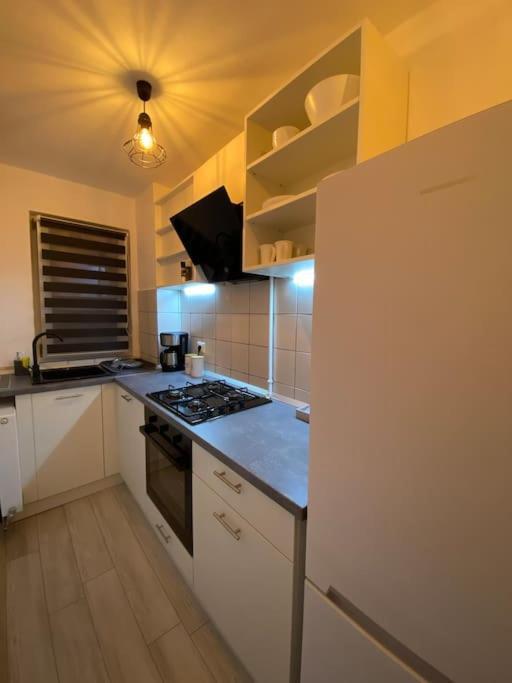 Black& White Apartment Brašov Exteriér fotografie